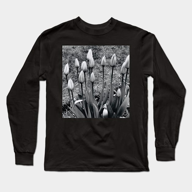 Tulips Long Sleeve T-Shirt by Alchemia